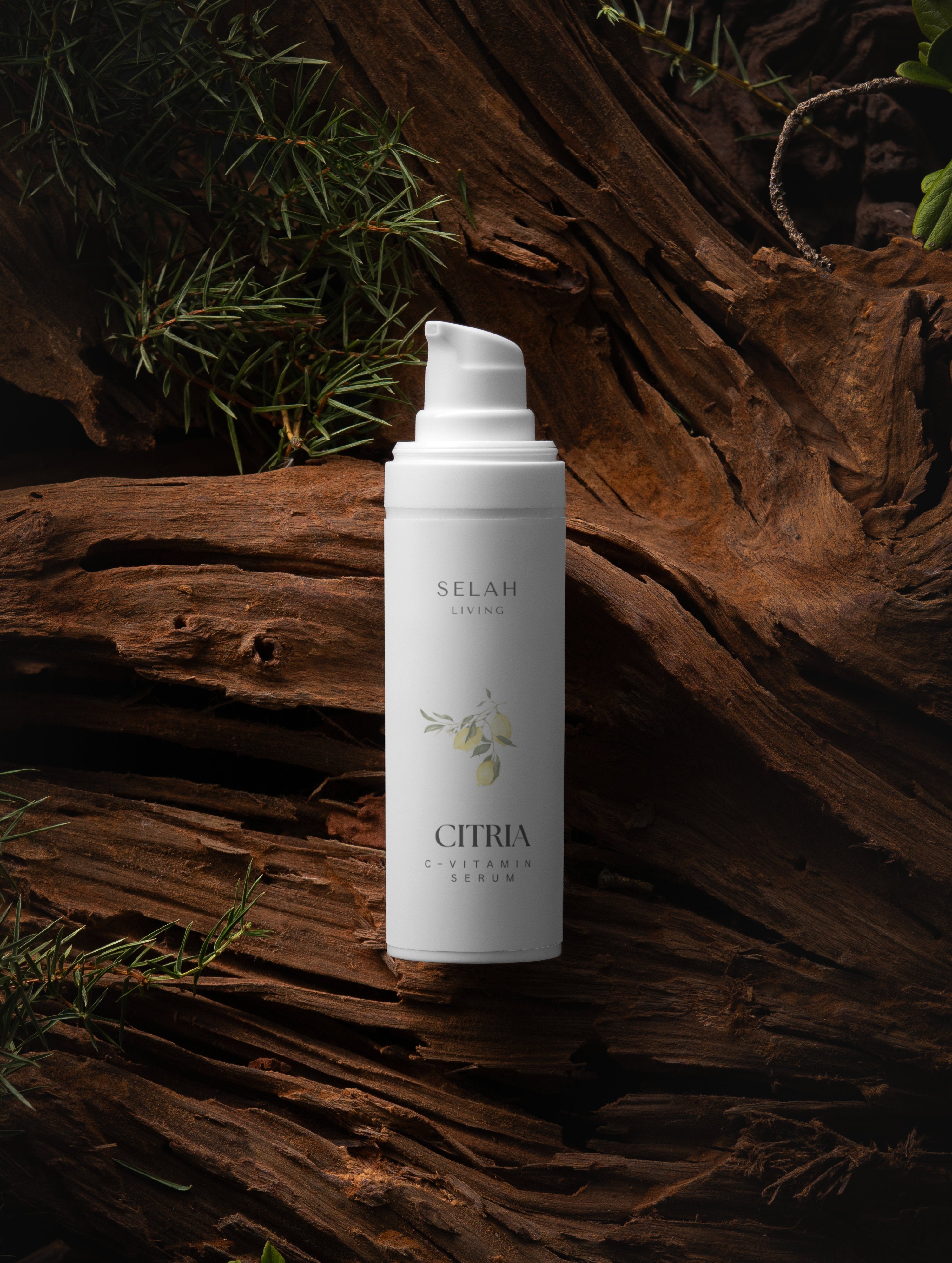 Radiance Ritual – Collection Box